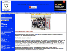 Tablet Screenshot of lakeshorelightning.com